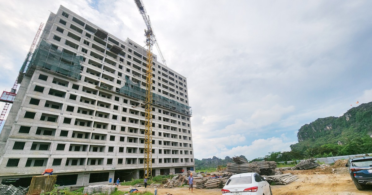 Chỉ báo thị trường nhà đất