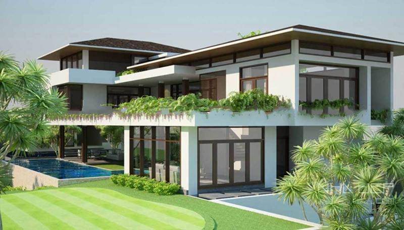 Gừng hợp mệnh Mộc