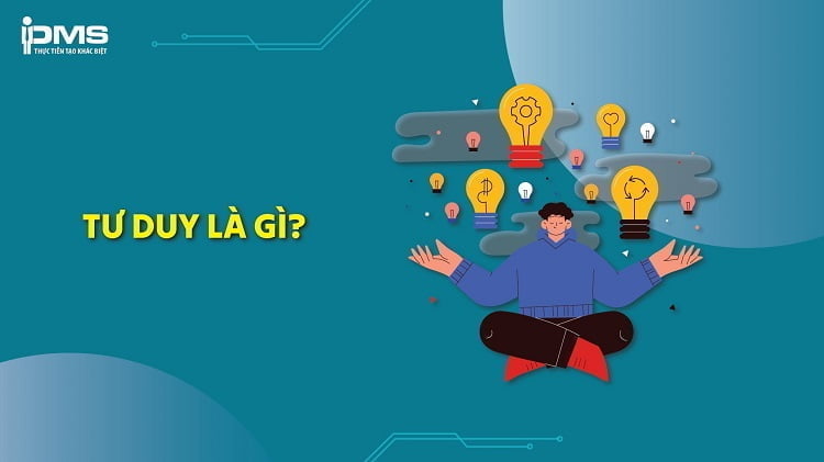Mối liên kết giữa các yếu tố