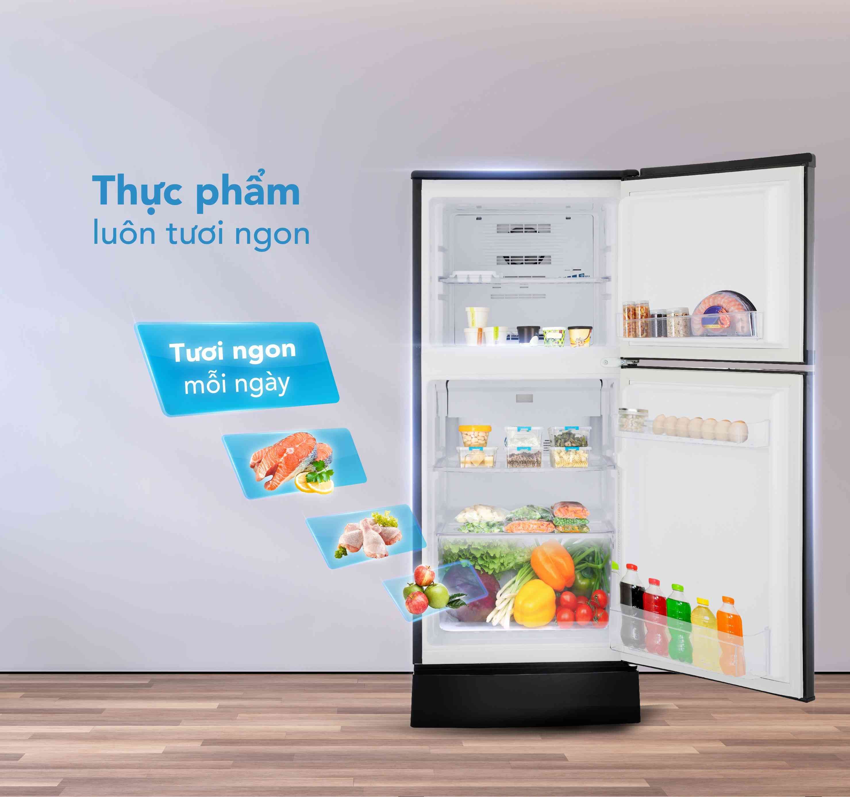 Tủ lạnh nhỏ cho phòng trọ