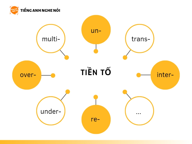 Theo dõi tiến bộ học tiếng Anh