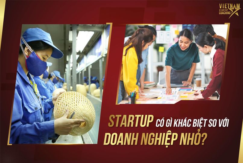 So sánh chiến lược marketing giữa startup và doanh nghiệp đã trưởng thành