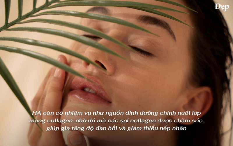 Hyaluronic Acid có tác dụng gì?