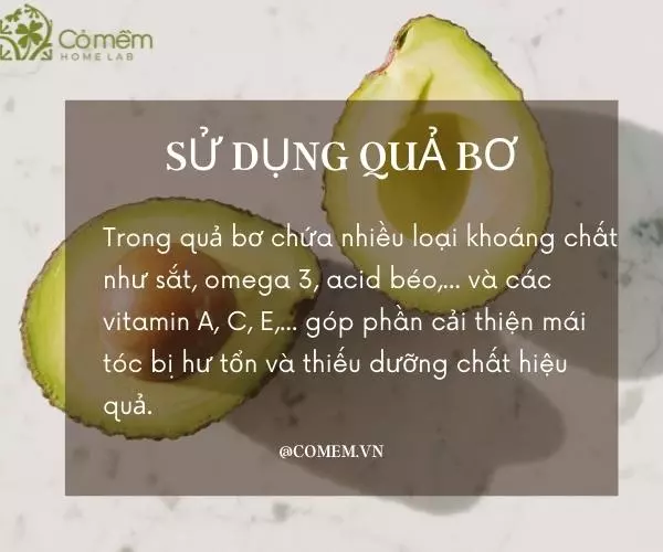 Mặt nạ tóc từ quả bơ giàu dưỡng chất giúp phục hồi tóc khô xơ
