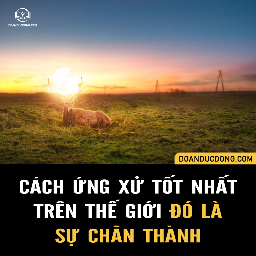 Áp dụng xu hướng FW 2026 vào phong cách Việt