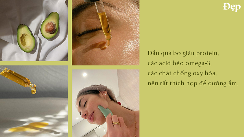 Dầu quả bơ giàu dưỡng chất cho da