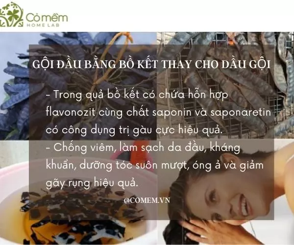 Phương pháp gội đầu bằng bồ kết giúp tóc mềm mại và đen bóng