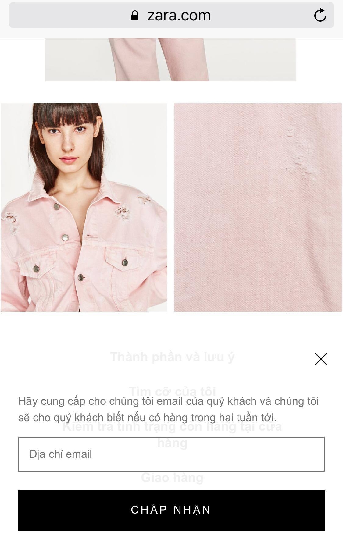 Khách hàng Việt xếp hàng mua collection Zara x Galliano