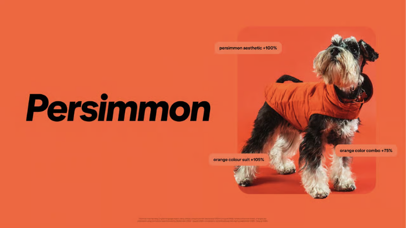 Màu hồng cam ấm Persimmon mang sắc thái lạc quan và ấm áp