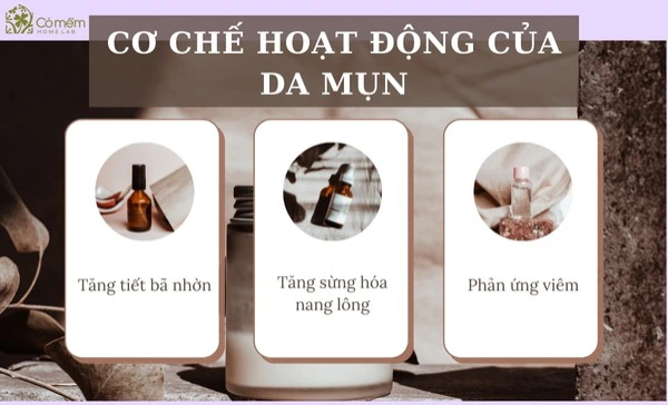 Cơ chế hoạt động của da mụn