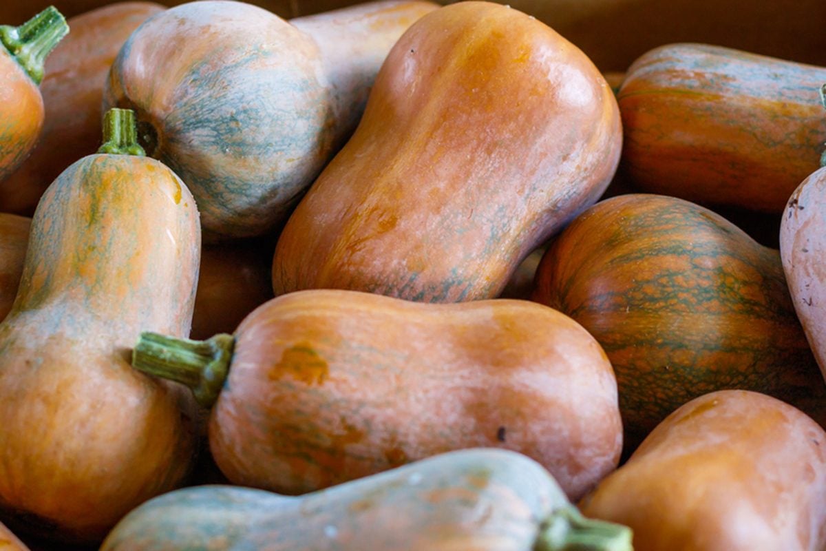 Bí bơ (Honeynut)