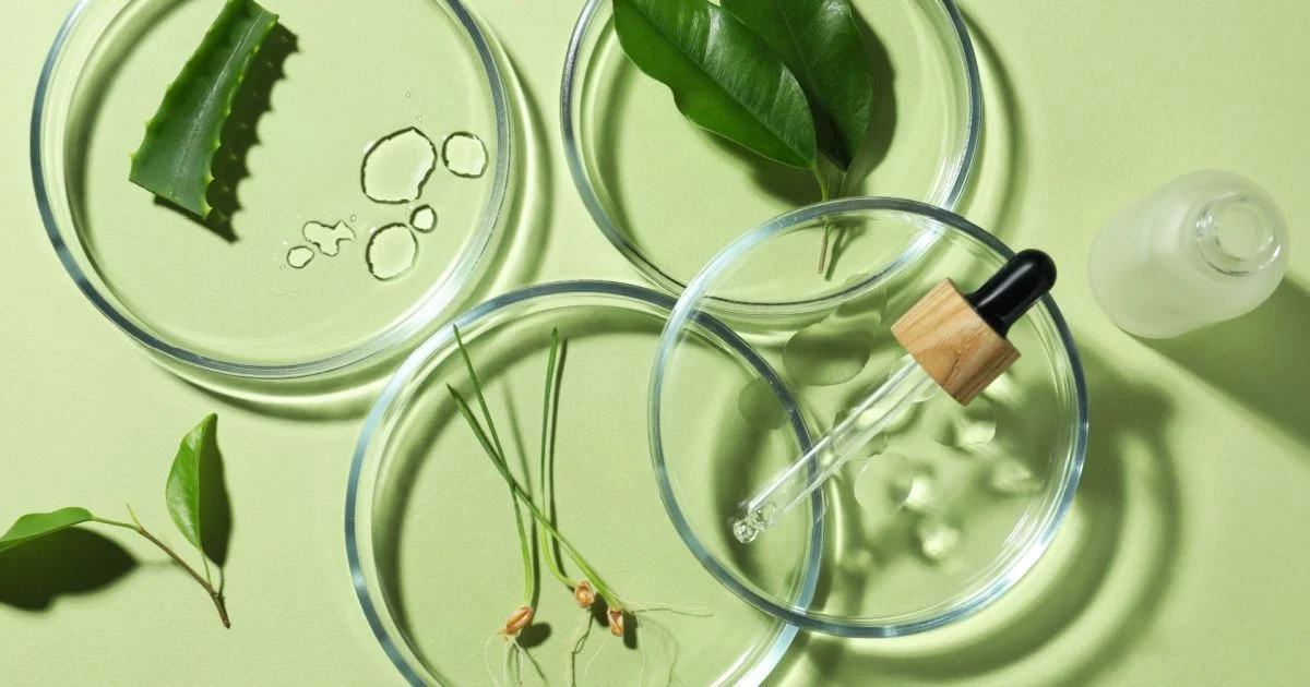 Clean Beauty chuẩn hóa