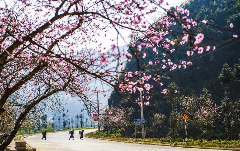 Xu hướng thời trang Xuân Hè 2024 nổi bật