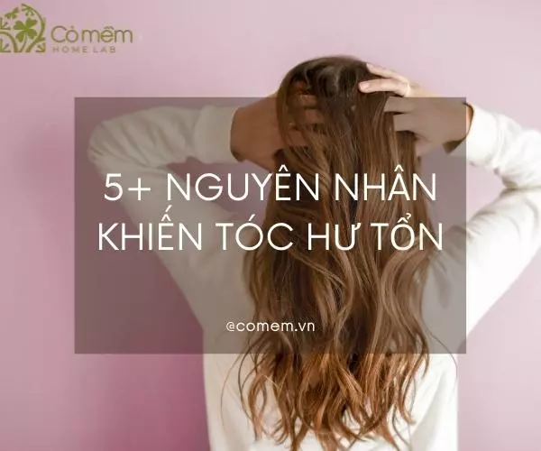 Các nguyên nhân chính gây hại cho tóc và khiến mái tóc bị hư tổn