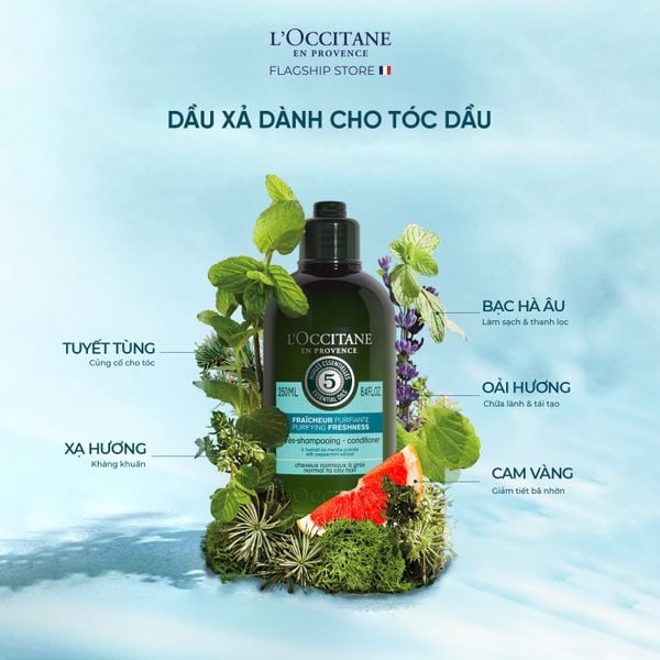 Cách sử dụng dầu xả và gỡ rối tóc
