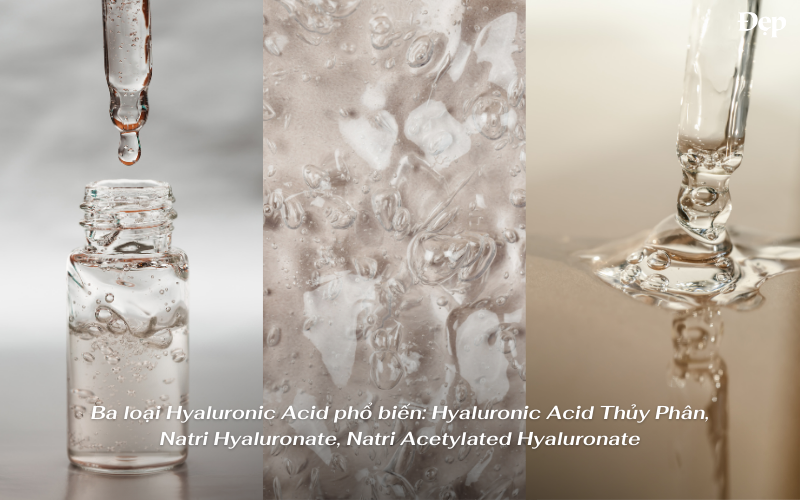 Các dạng Hyaluronic Acid phổ biến thường gặp