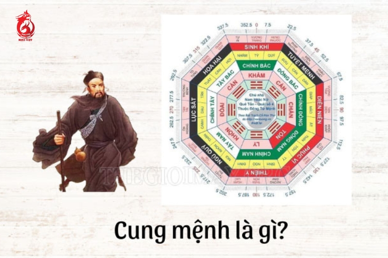 Cung mệnh và tương hợp ngày cưới