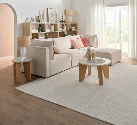 Bố trí hệ thống sofa văng kết hợp module chữ U trong không gian phòng khách cỡ lớn