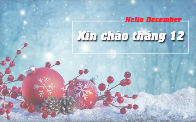 Chuẩn bị cưới tháng 12 mùa đông