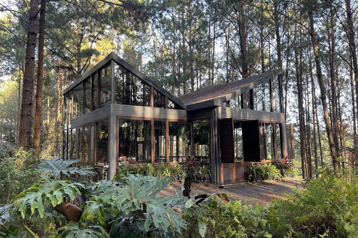 Rừng Thông Mơ Farm & Bistro mang đến không gian tổ chức tiệc cưới đầy chất thơ với phong cách rustic và vintage