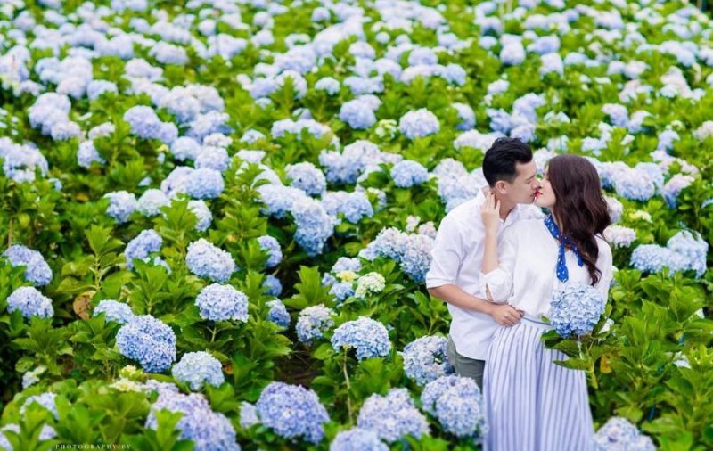 Hoa tươi và cây xanh tạo điểm nhấn tự nhiên cho không gian tiệc
