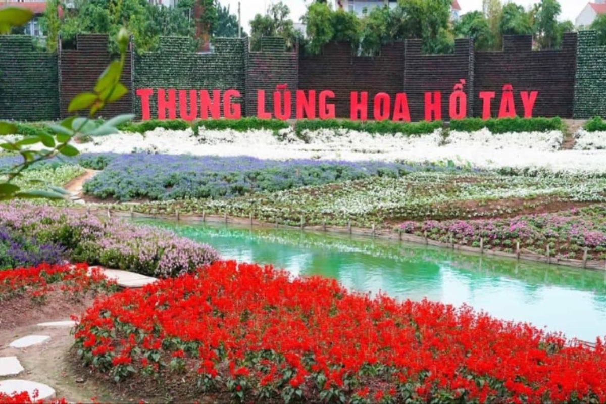 Khu vườn hoa rực rỡ dưới ánh nắng tự nhiên được quy hoạch gọn gàng, tạo mặt bằng lý tưởng cho lễ cưới ngoài trời