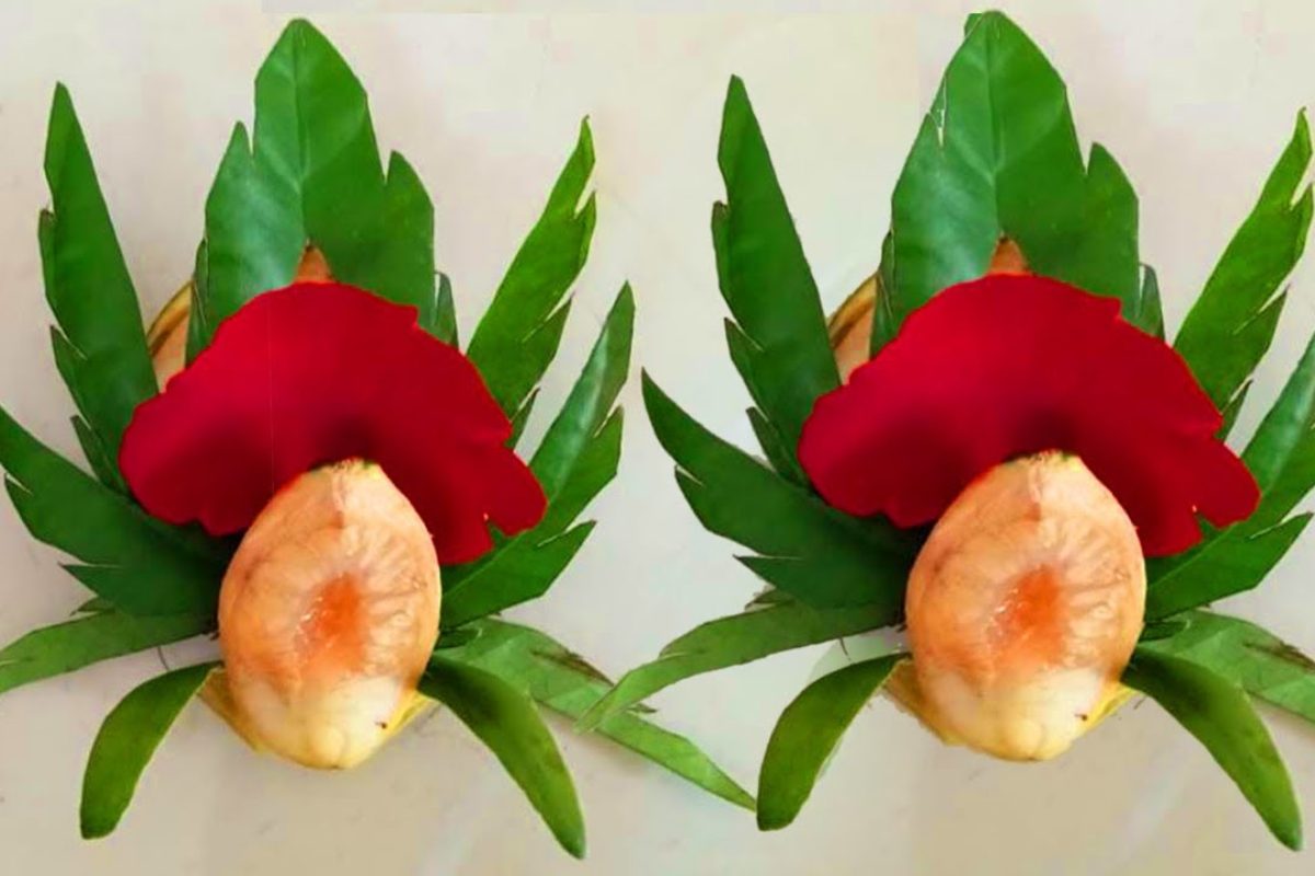 Miếng trầu cánh phượng đẹp