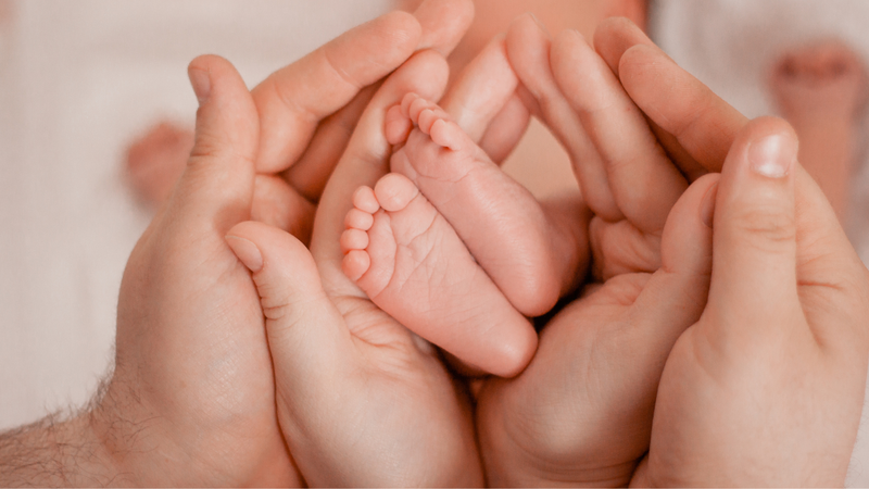 Cặp đôi mới cưới đang thích nghi với cuộc sống chung