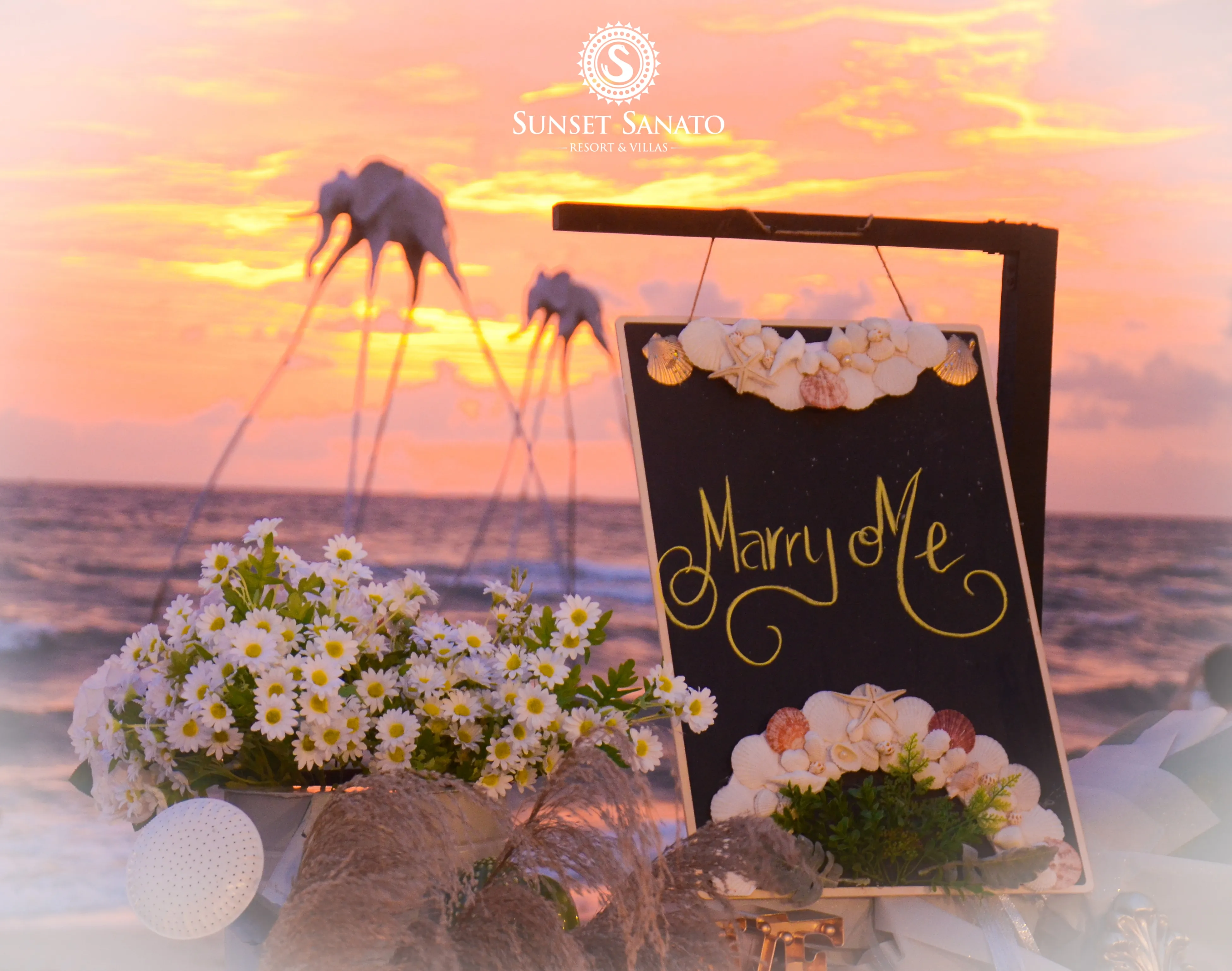 Lễ cưới Bãi biển tại Bãi Trường at Sunset Sanato Phu Quoc