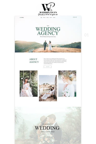 Chăm sóc và bảo mật website wedding planner