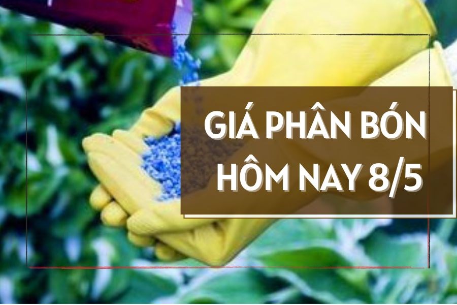 Phân khúc giá nhà hàng cưới