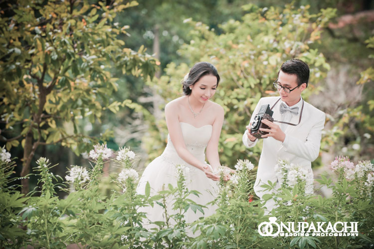 Thảo Cầm Viên và cánh đồng cỏ lau