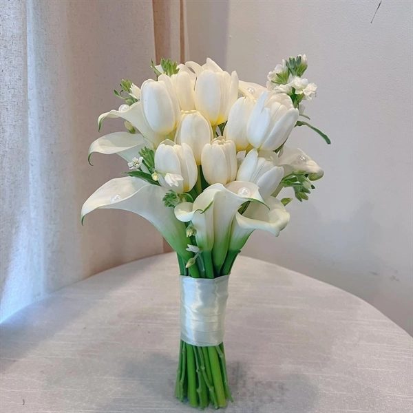 Hoa Tulip mang ý nghĩa tượng trưng cho tình yêu chân thành