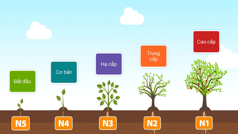 Lộ trình cho người mới bắt đầu