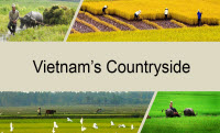 Unit 2: Life in the countryside