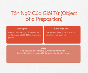 Cách sử dụng danh từ trong câu