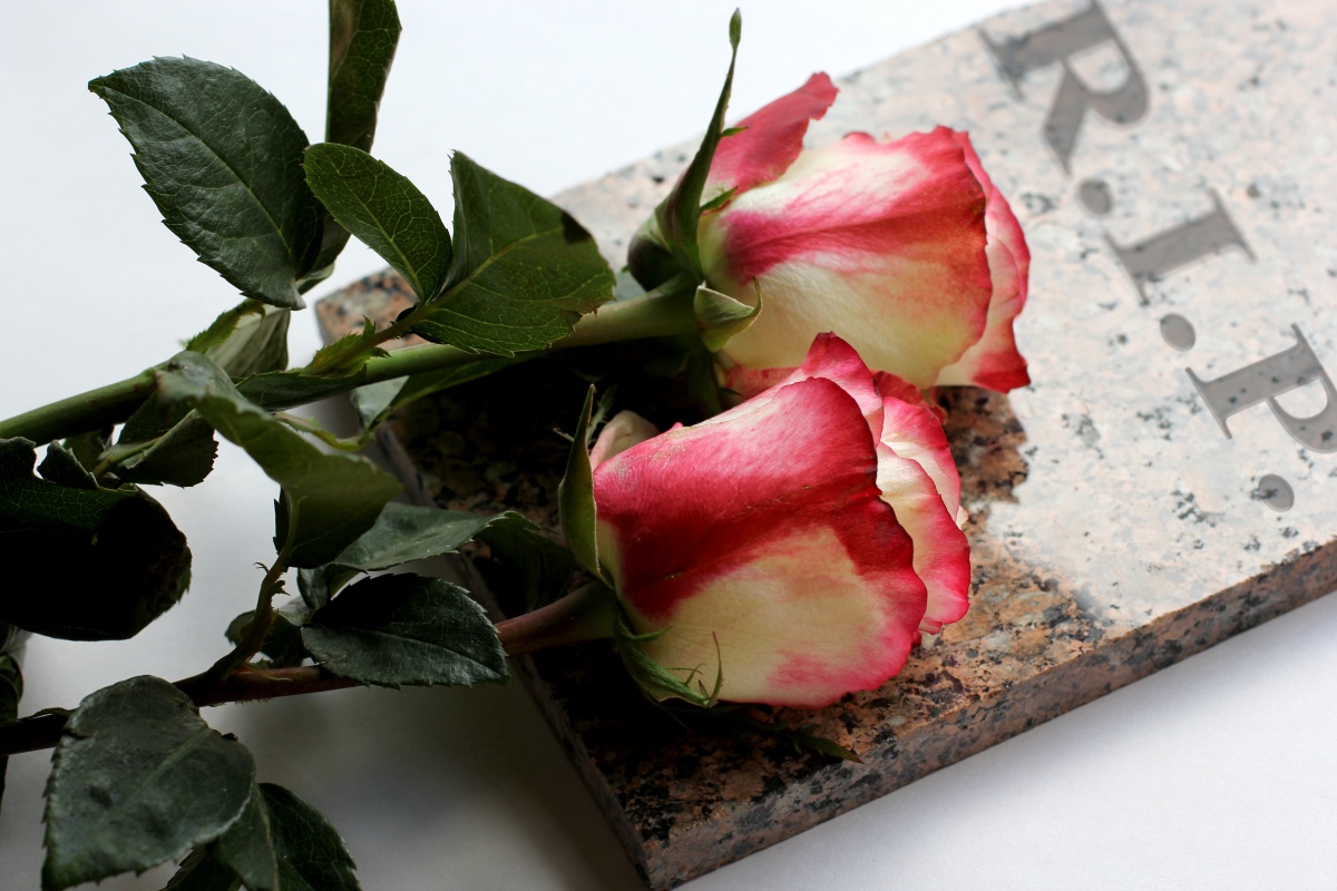 Câu May she rest in peace, ví dụ về modal may trong thể mệnh lệnh