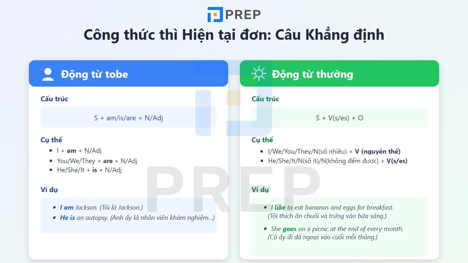 Câu khẳng định thì hiện tại đơn