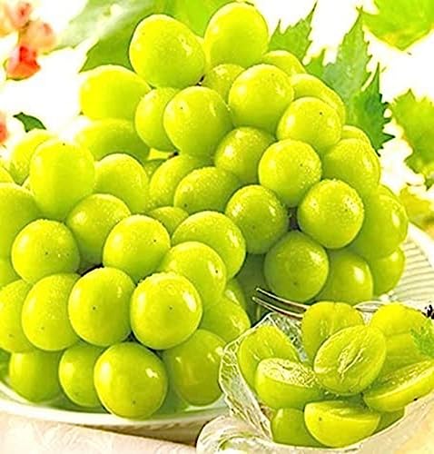 Sự thay đổi trọng lượng hạt cà phê theo độ rang