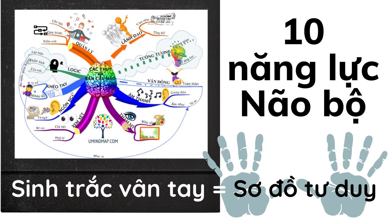 Hình ảnh não bộ và tư duy