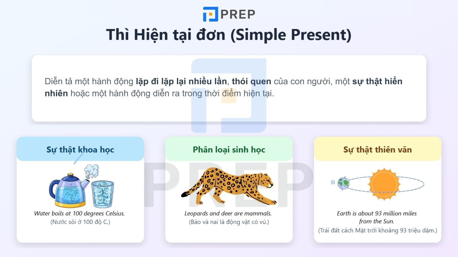 Thì hiện tại đơn là gì?