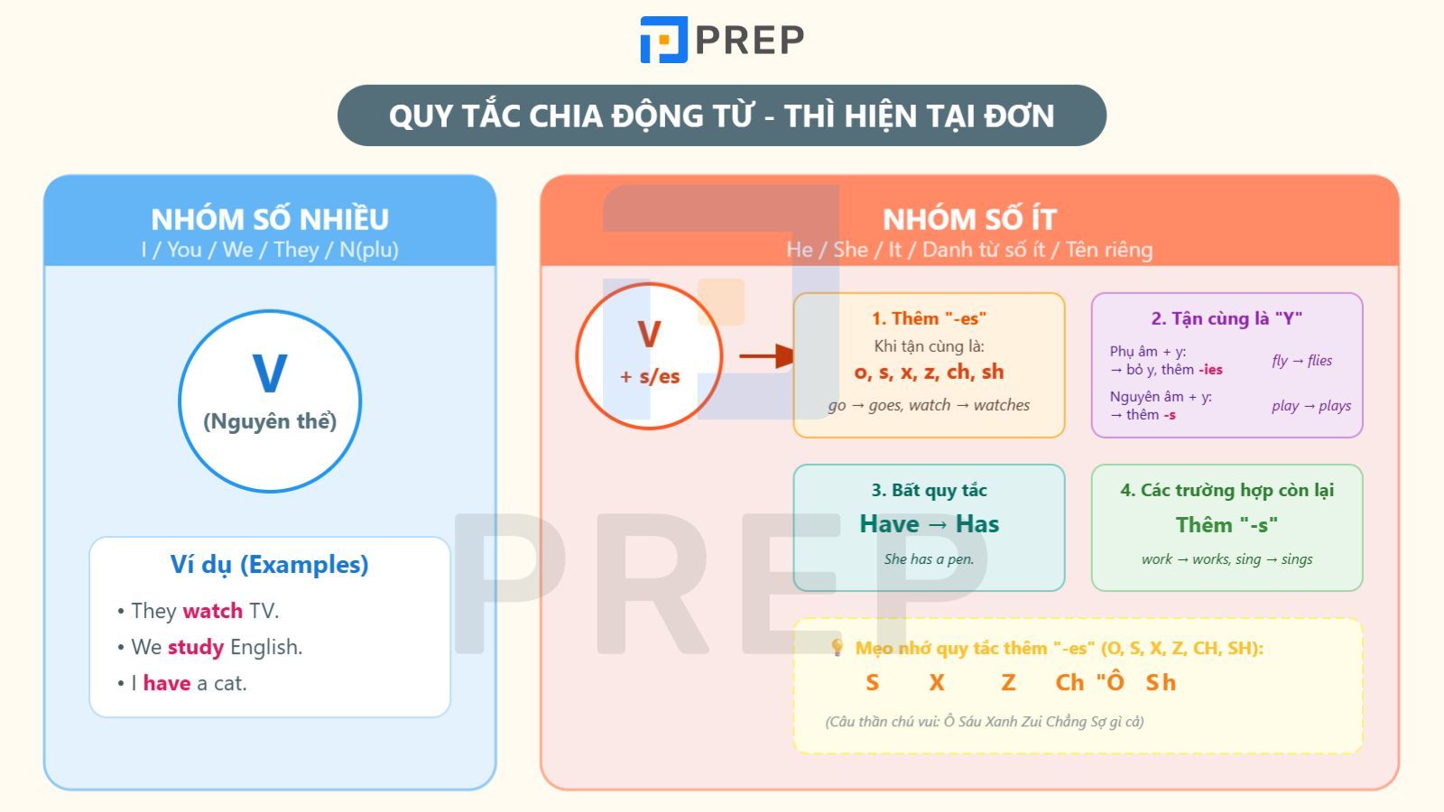 Quy tắc chia động từ hiện tại đơn