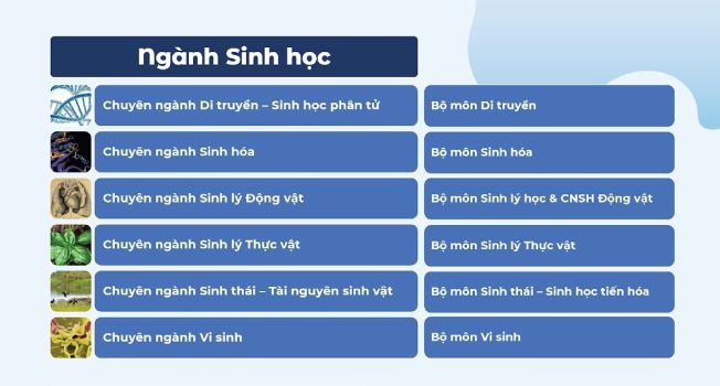 Chọn cấu hình theo ngành học