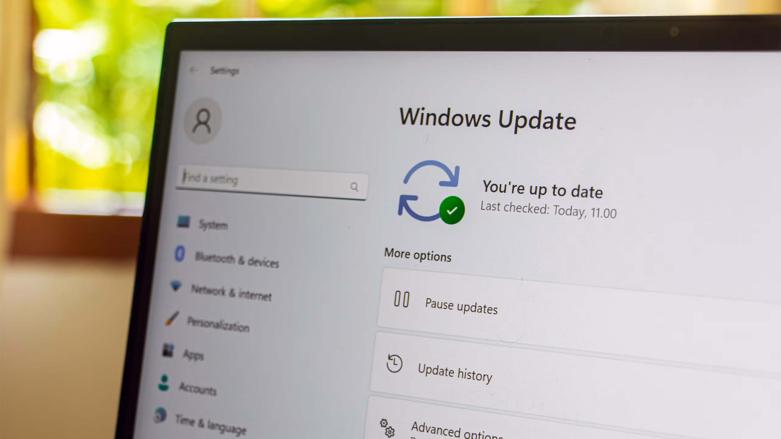 Giao diện cài đặt Windows Update với tùy chọn trì hoãn cập nhật