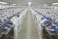Kế hoạch lợi nhuận ngành ngân hàng năm 2026