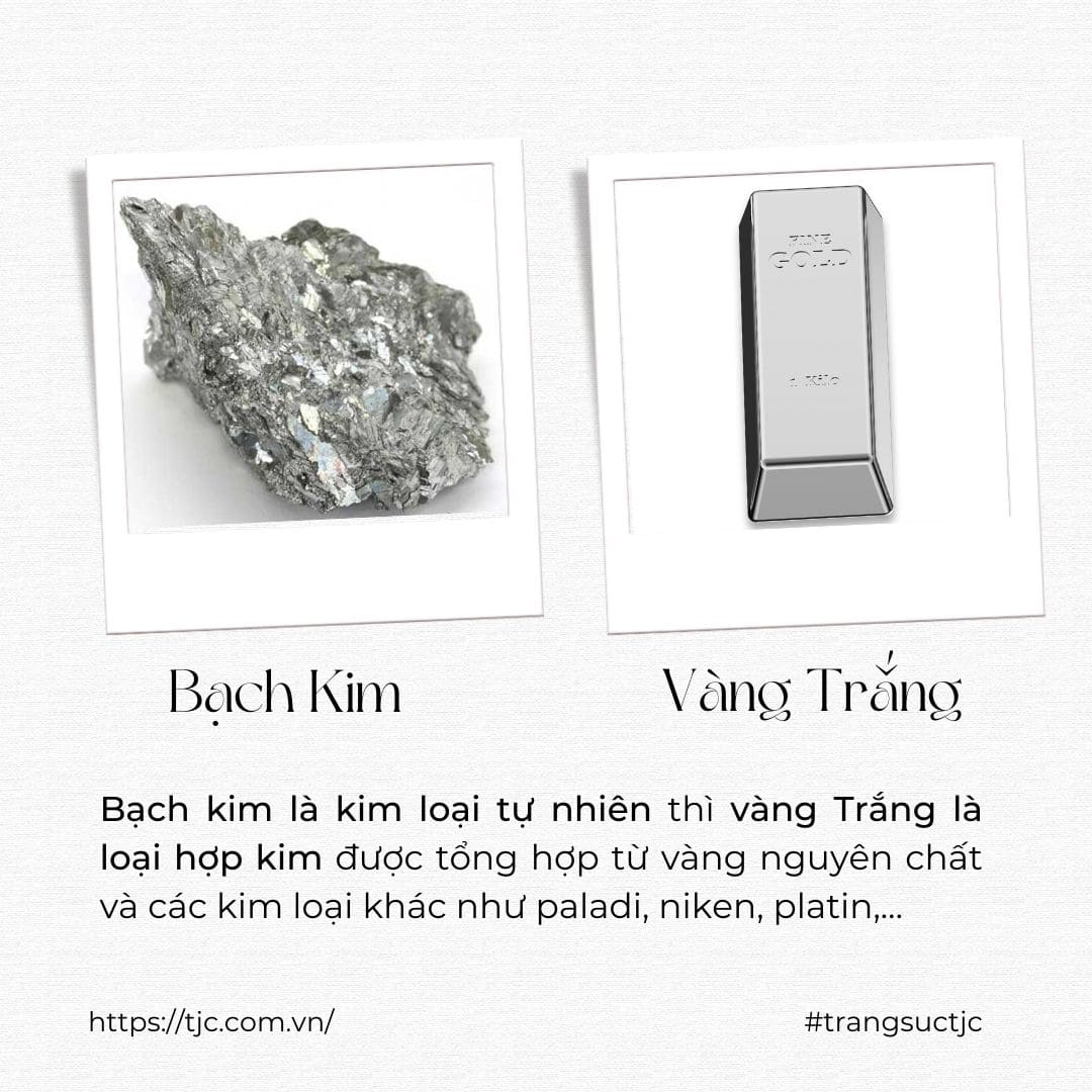 bảng giá vàng trắng và bạch kim