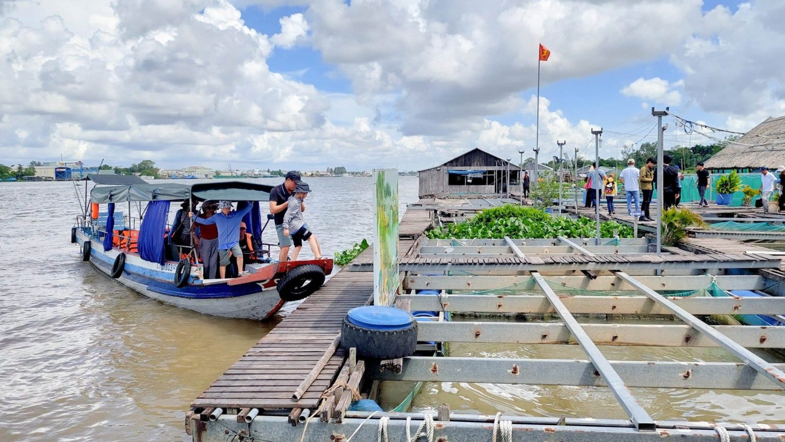 Ngắm cá lóc bay là hoạt động độc đáo tại Cồn Sơn