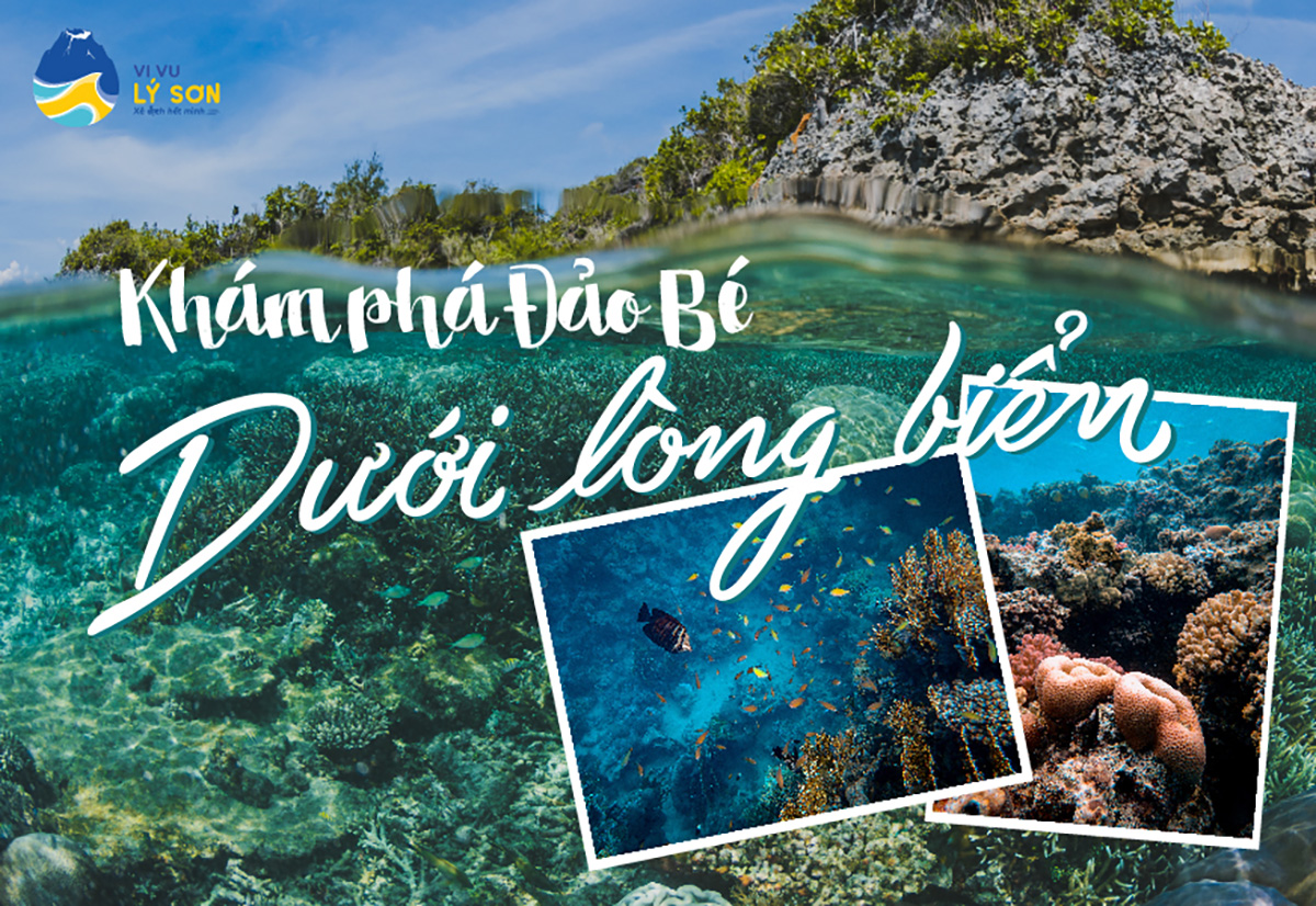 Lặn biển ngắm san hô ở Việt Nam