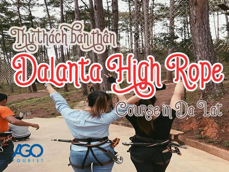 Hoạt động đu dây mạo hiểm High Rope Course Đà Lạt
