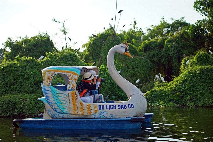 Đảo cò vào buổi sáng